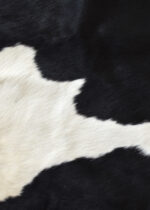 Cowhide, black-white